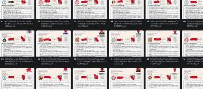 Fact Check: Misleading Allegations of JEE (Advanced) Data Breach