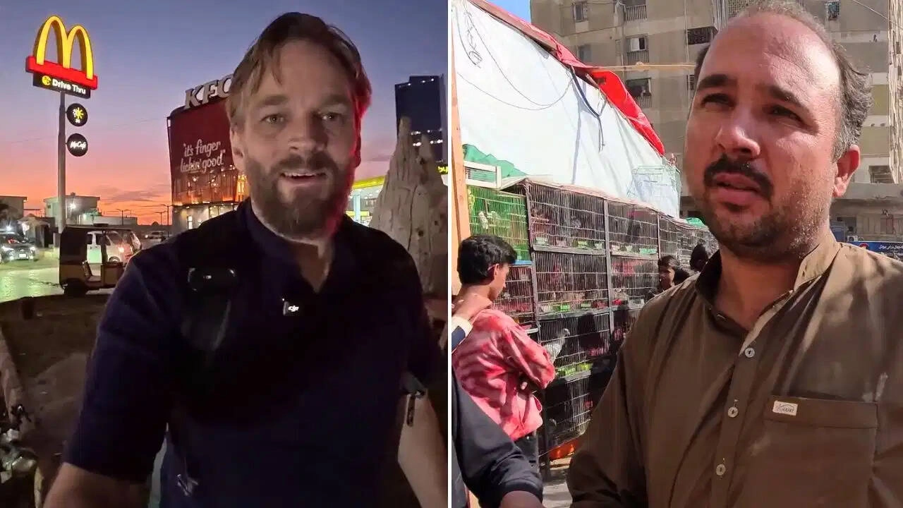 New Zealand Vlogger Responds to Pakistani's Comment on Indians