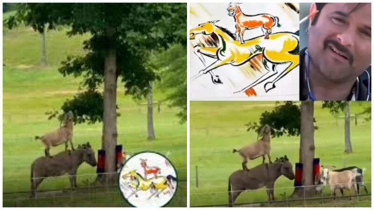 Viral Video Sparks Debate: Was the Welcome Painting Real?