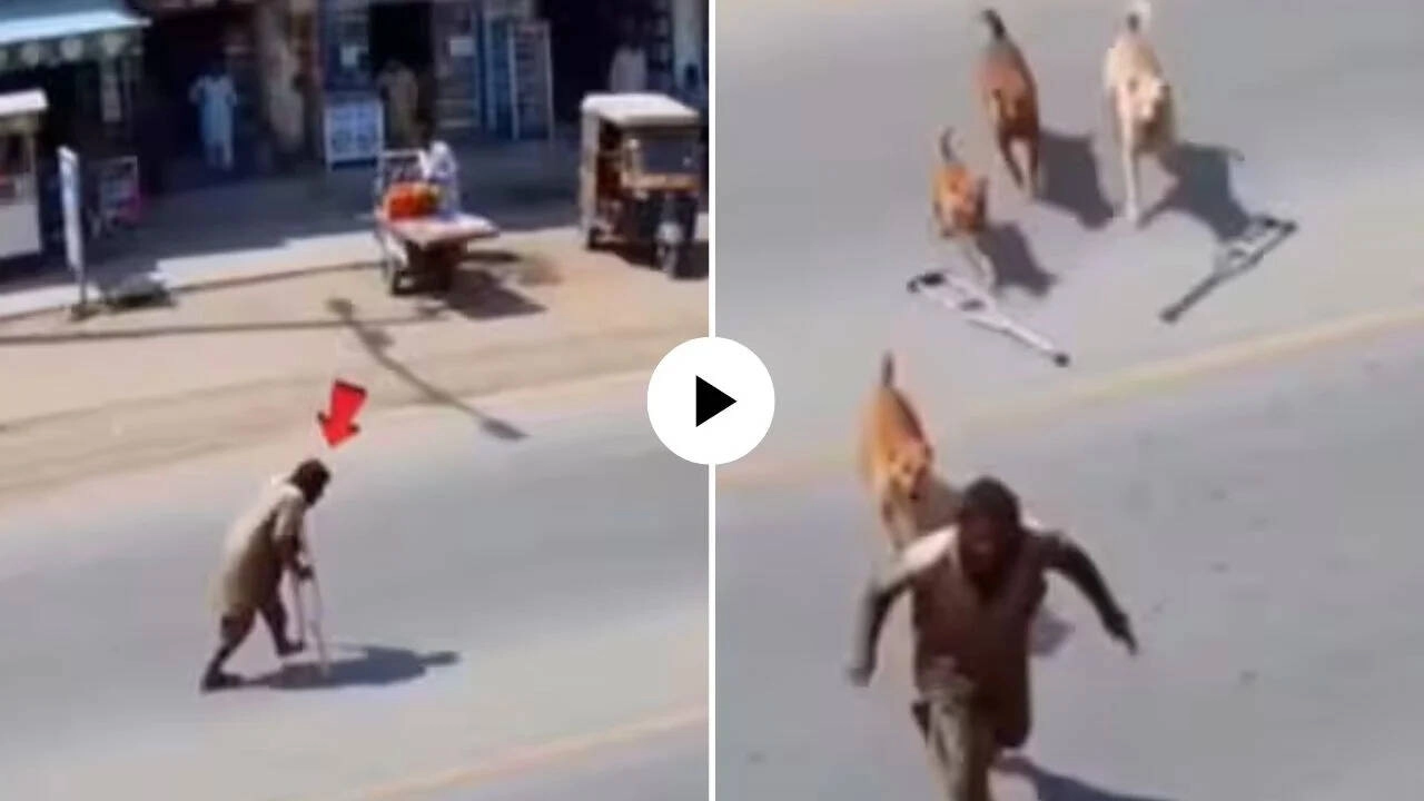 Beggar Pretending to Be Crippled Flees from Dogs, Video Exposed