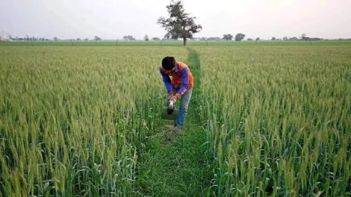 Mini Kit Scheme: Farmers to Benefit from Low-Cost Crop Solutions