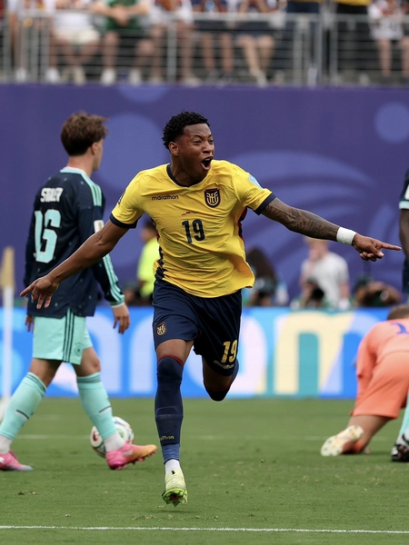 FIFA World Cup: Ecuador Upsets Germany, Advances to Knockout Stage