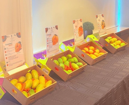 India Hosts First Mango Promotion Program in Iceland to Boost Exports