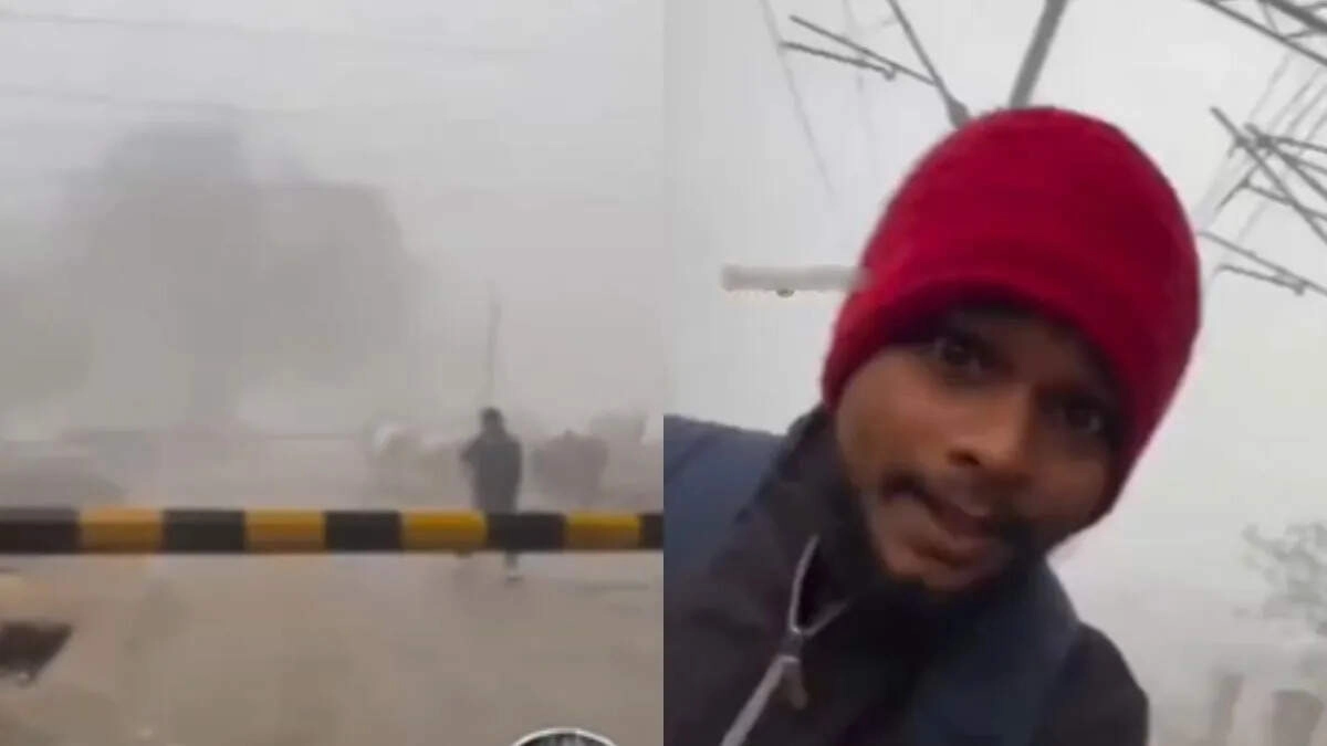 Real Cow Protector: Man's Actions Go Viral in Video