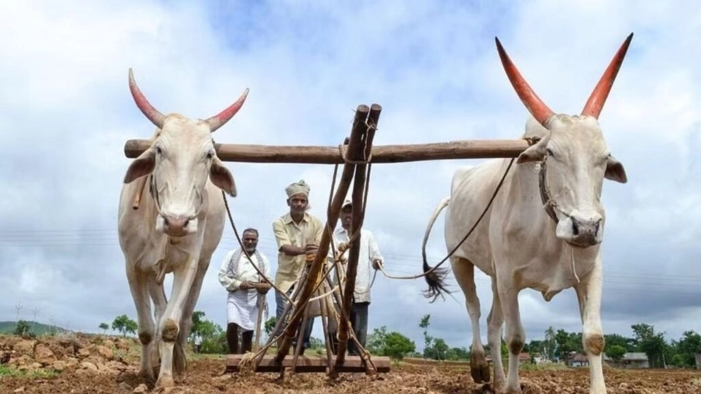 Maharashtra Cabinet Approves ₹36,585 Crore Farm Loan Waiver