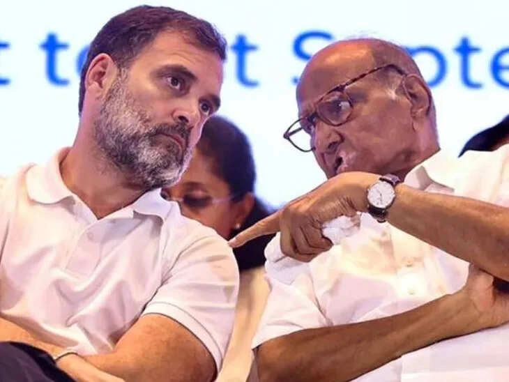 Will Sharad Pawar's NCP Join SP-Congress? Political Buzz Grows