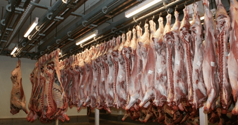 Omar Abdullah urges Punjab CM to halt illegal livestock charges