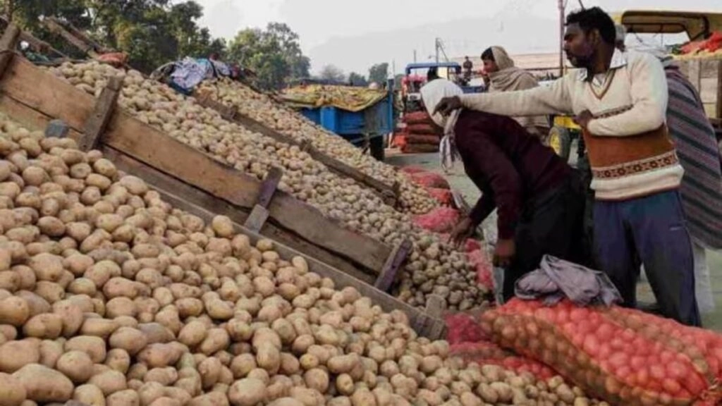 Potato Farmers Struggle to Recover Costs Amid Market Shock