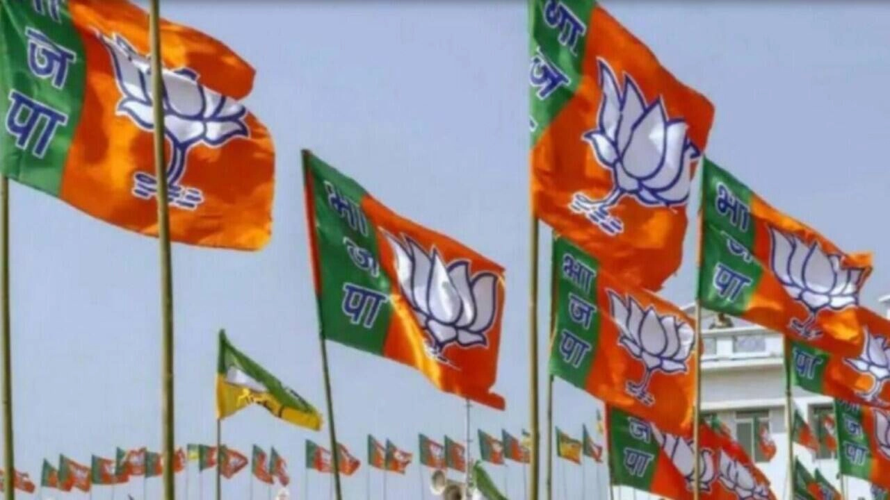 UP BJP Reshuffle: Neeraj Singh and Pooja Pal Given Key Roles