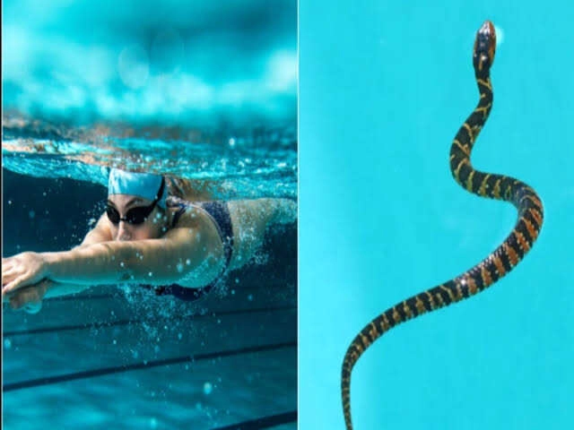 Viral Video: Snake Surprises Young Man in Pool Fun