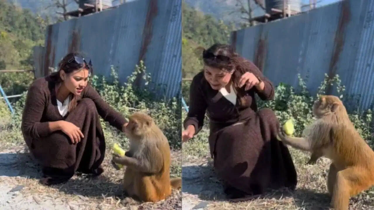 Viral Video: Girl's Friendship Gesture Sparks Hilarious Monkey Reaction