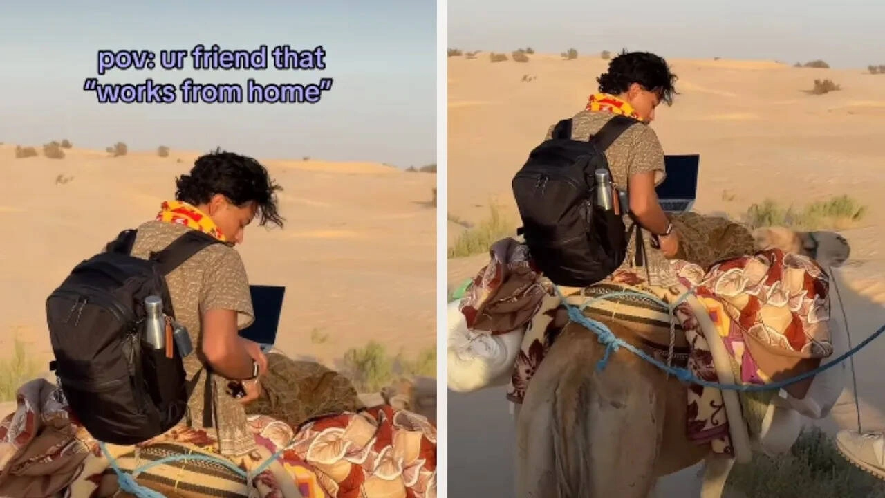 Young Man Works on Laptop While Riding Camel, Shocks Users