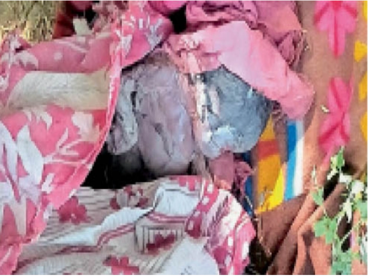 7-Month-Old Fetus Found by Roadside in Balotra; Police Investigating