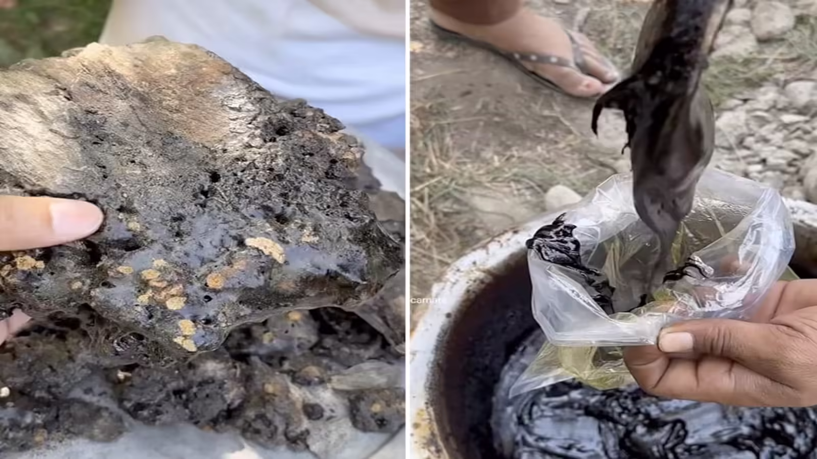 Rare 'Mountain Tears' Sold by the Kilo: What Makes It Special?