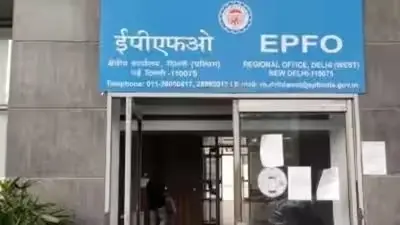EPFO Opens Amnesty Scheme for Provident Fund Trusts: Details Inside