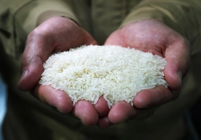 Government Seeks Public Input on Major Changes to Food Security Law