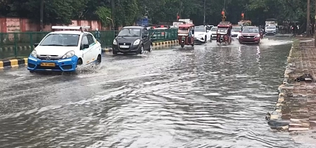 Delhi Rain Causes Disruptions: Fallen Trees and Waterlogging
