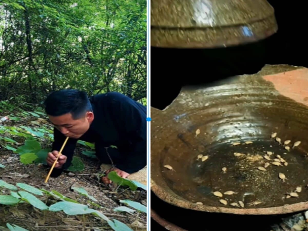 Strangest Wine: Worms Found in Soil and Roasted for Preparation