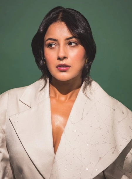 Shehnaaz Gill Adds Unique Touch to B Praak's 'Narak'