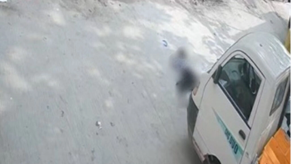 Monkey Chaos in Vrindavan: Girl Falls 15 Feet, Dies