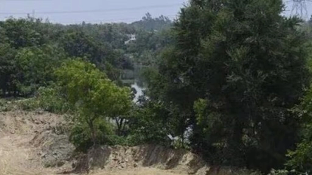 NGT Orders Probe into Mining Near Sariska Tiger Reserve