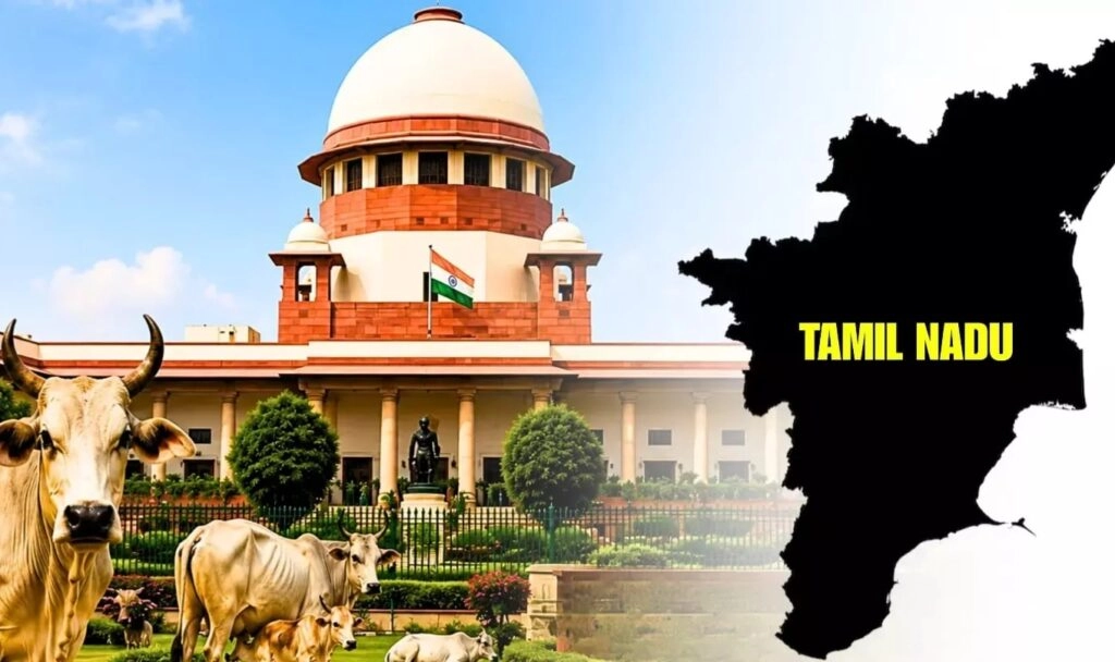 SC Stays Madras HC's Cow Slaughter Ban, Easing Tamil Nadu's Burden