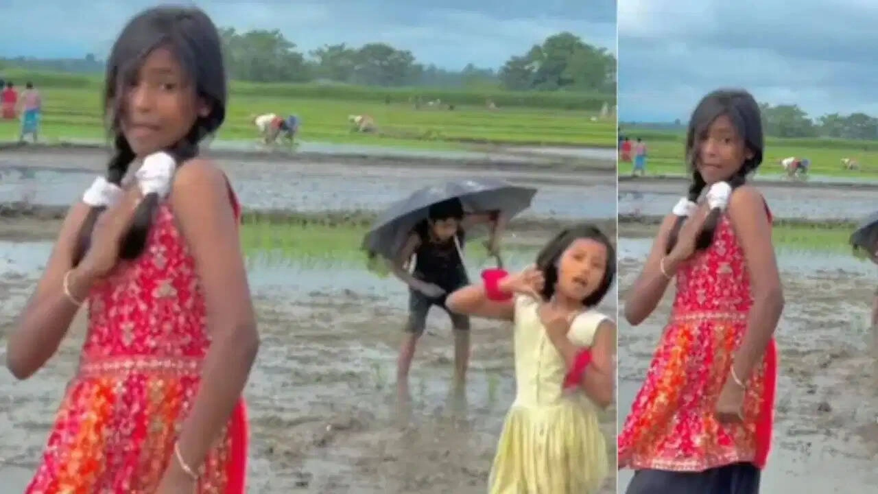 Rice Planting Joy: Girls' Dance Captivates Everyone, Video Viral