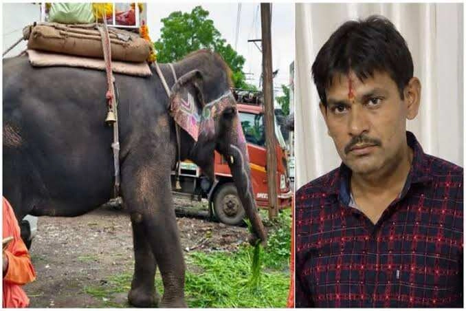 Elephant Attacks While Being Fed Jaggery, Shocking Video